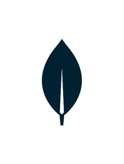 MongoDB